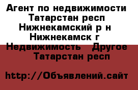 Агент по недвижимости - Татарстан респ., Нижнекамский р-н, Нижнекамск г. Недвижимость » Другое   . Татарстан респ.